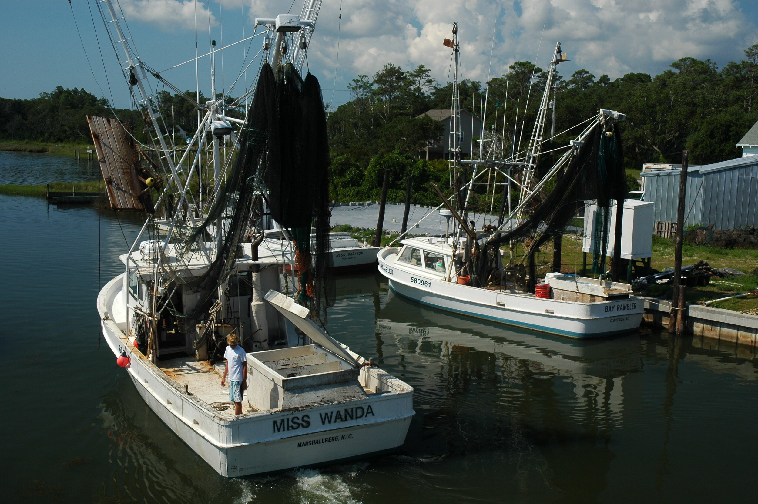 North Carolina Shrimp — NCLFC North Carolina Local Food Council