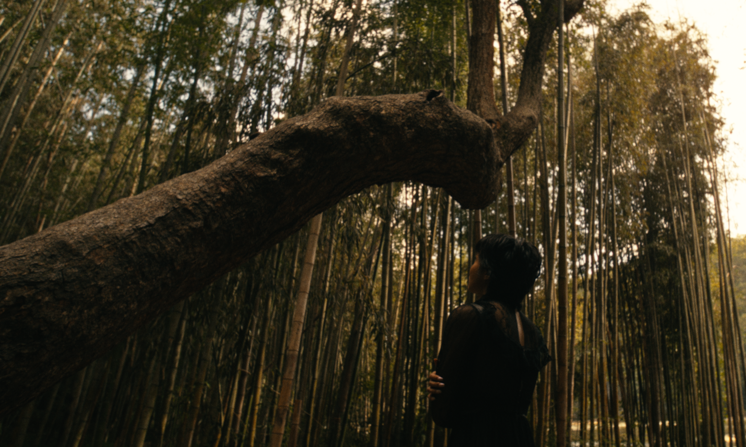 Halcyon - Short_Website HQ Stills-15.png