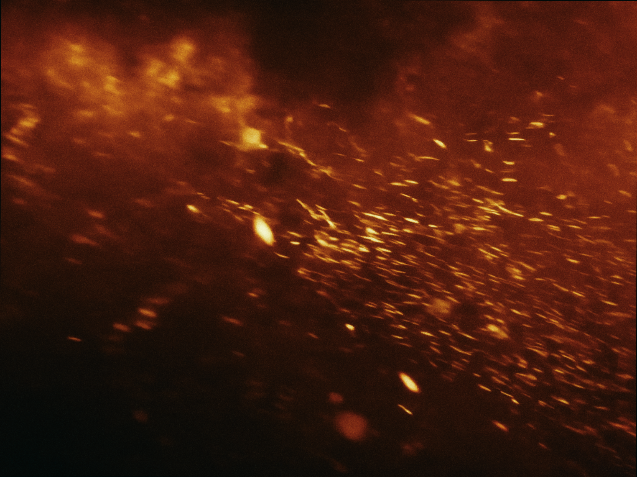 Still 2026-03-29 220218_1.26.1.png