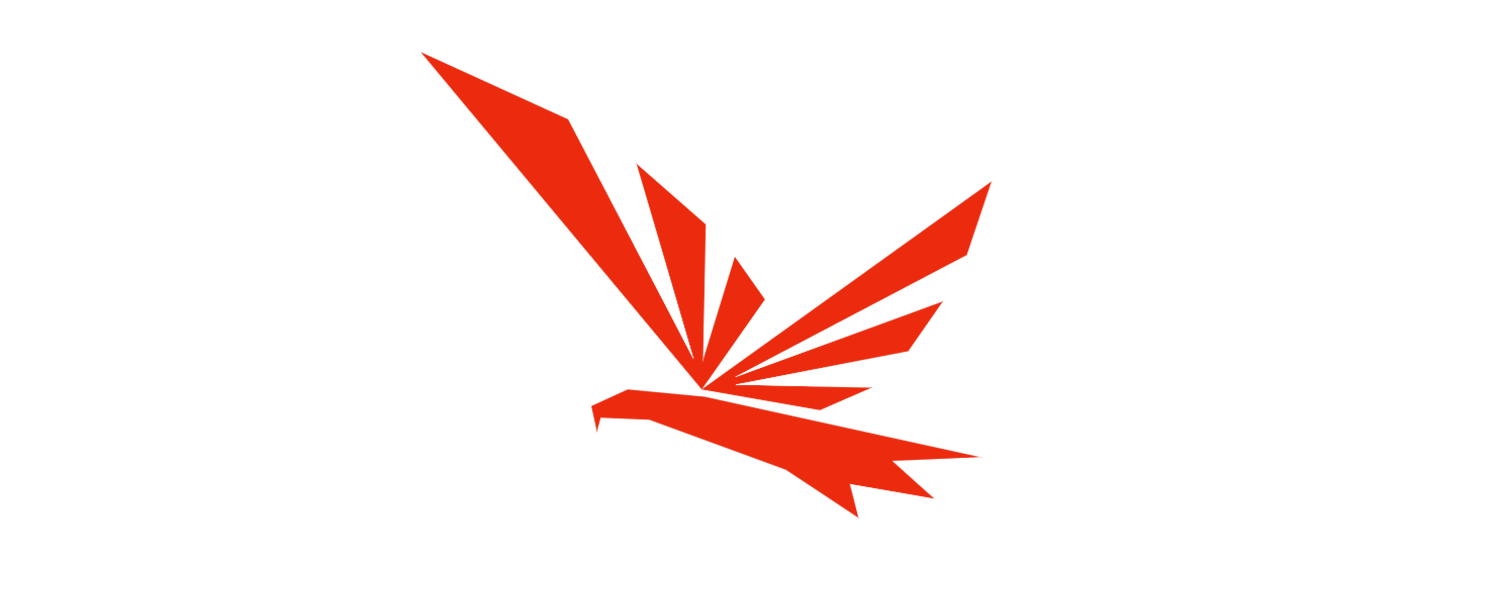 RAVEN EYE LLC + Director | Colorist Studio