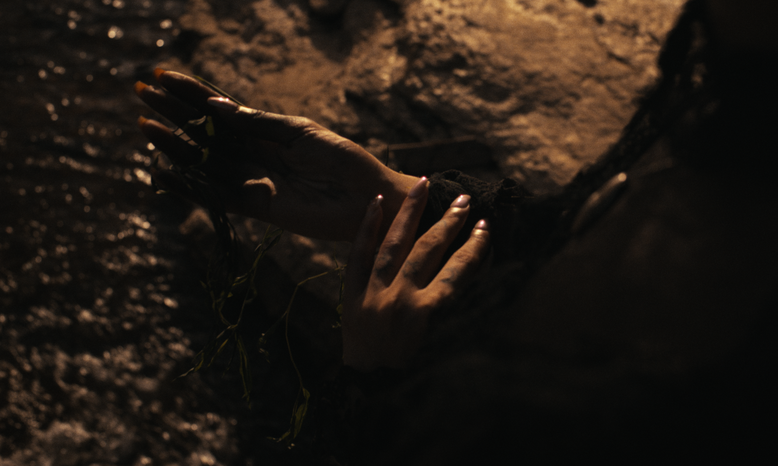 Halcyon - Short_Website HQ Stills-18.png