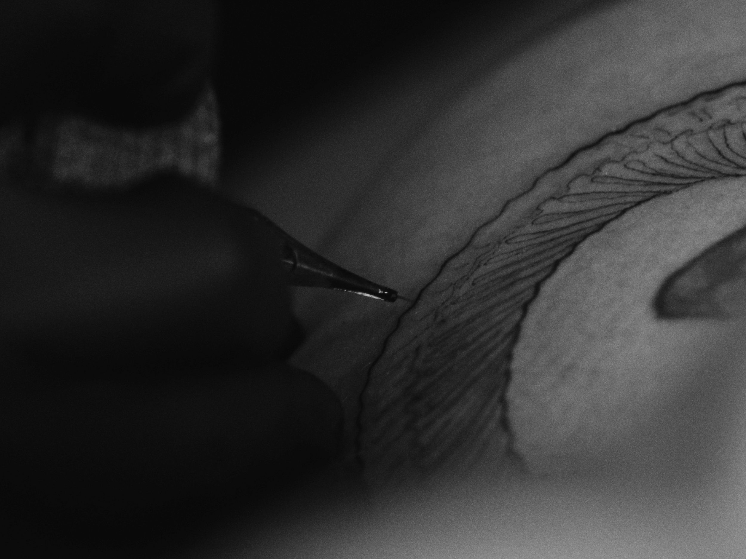 15 Parsec - Documentary - HQ Stills-64.png