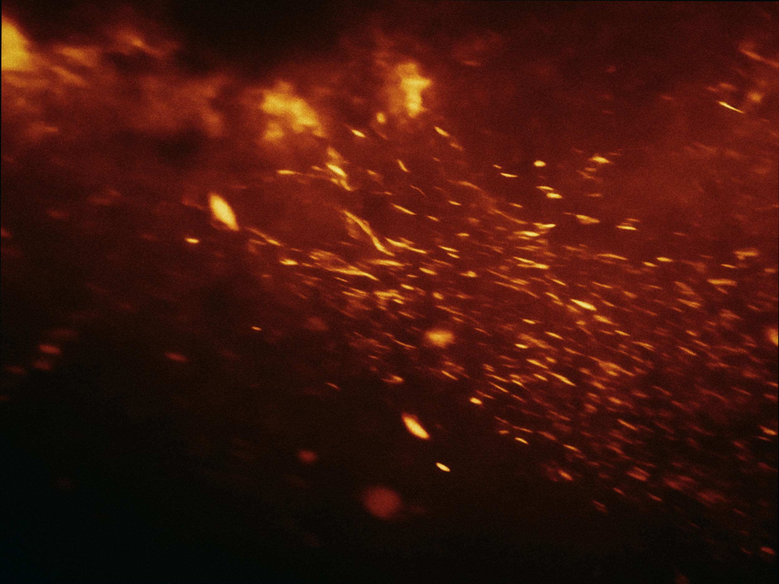 Outlaw Fury - HQ Stills_FINAL_1.28.1.png