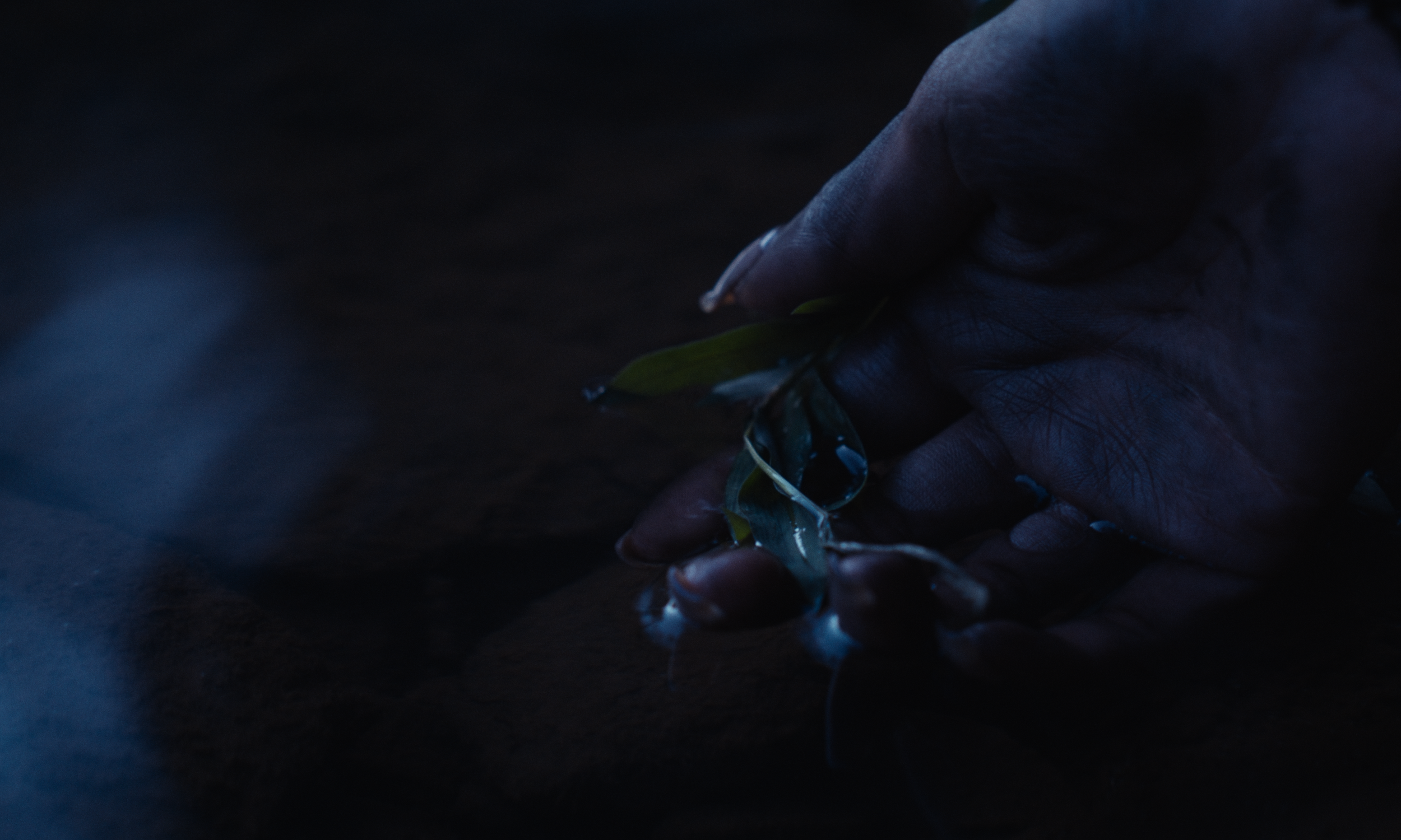 Halcyon - Short_Website HQ Stills-2.png