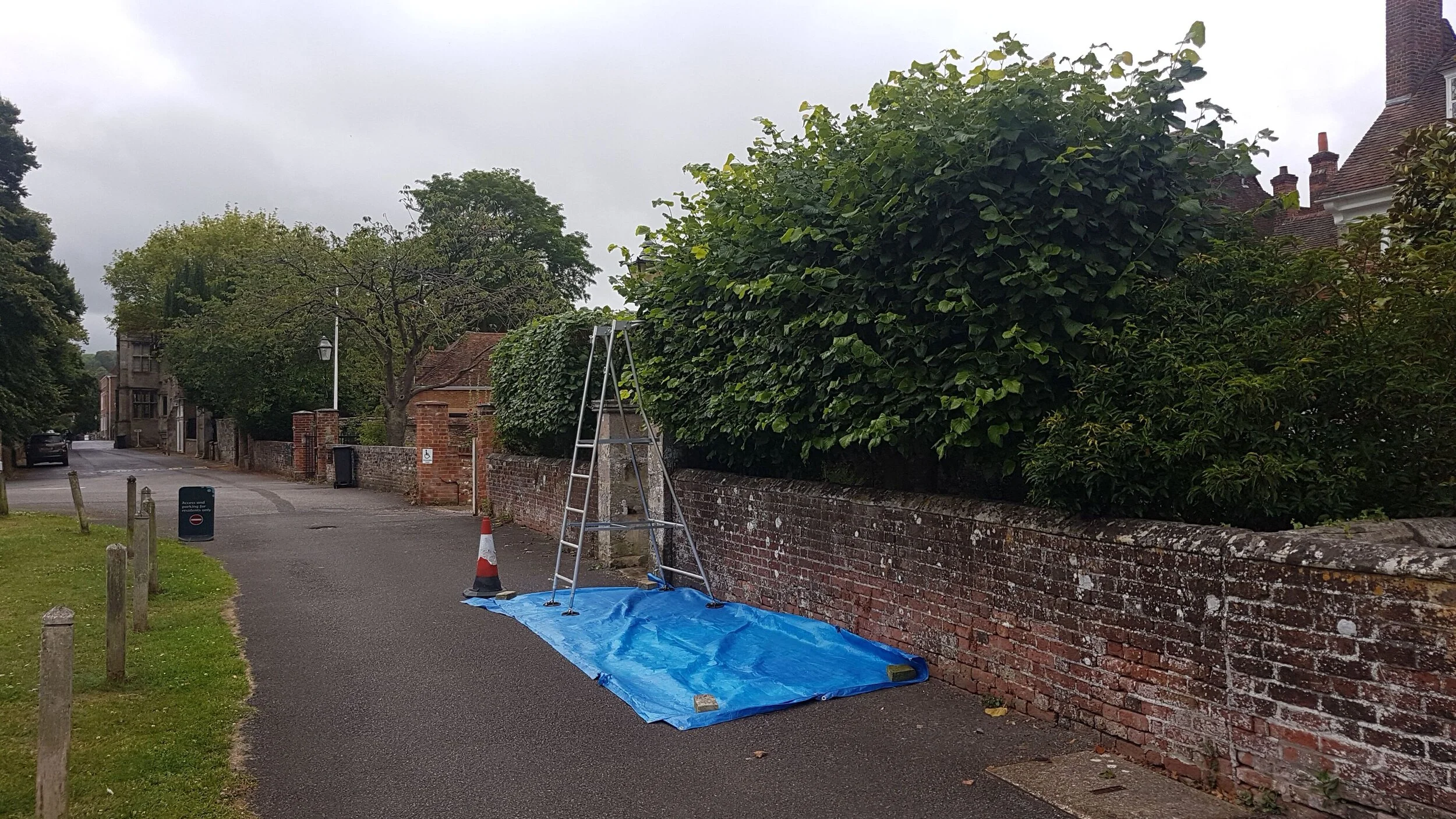 Hedge cutting, Salisbury