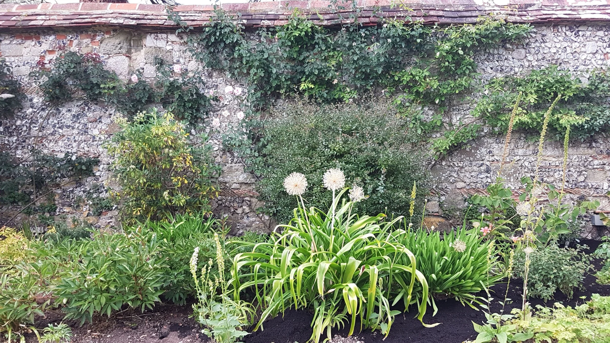 A garden with various green plants and flowering bushes, with a stone wall and a brick roof in the background.