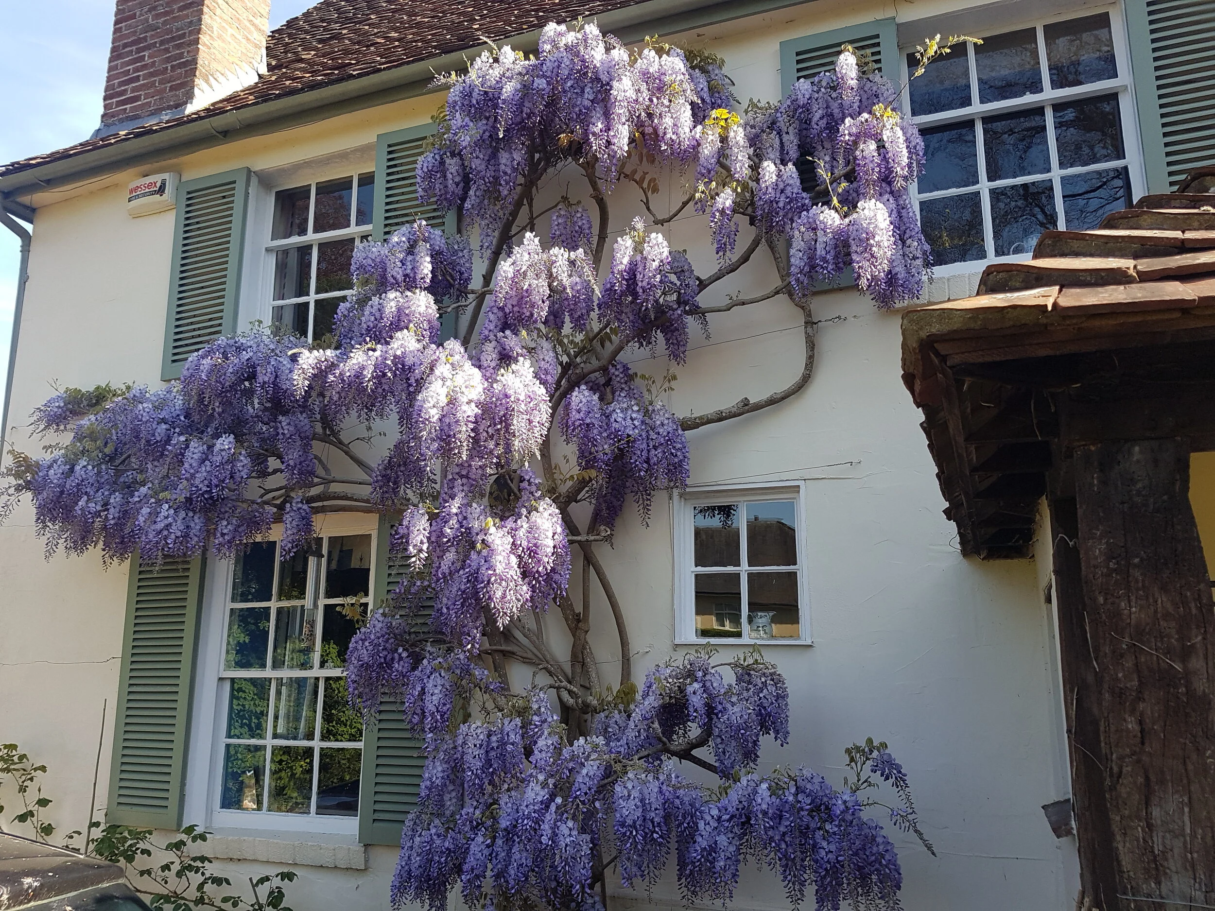 Garden maintenance Salisbury