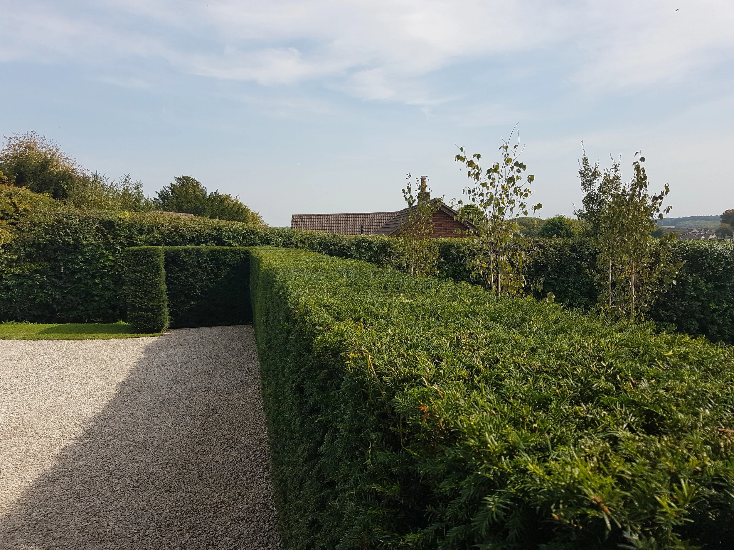 Hedge cutting Salisbury