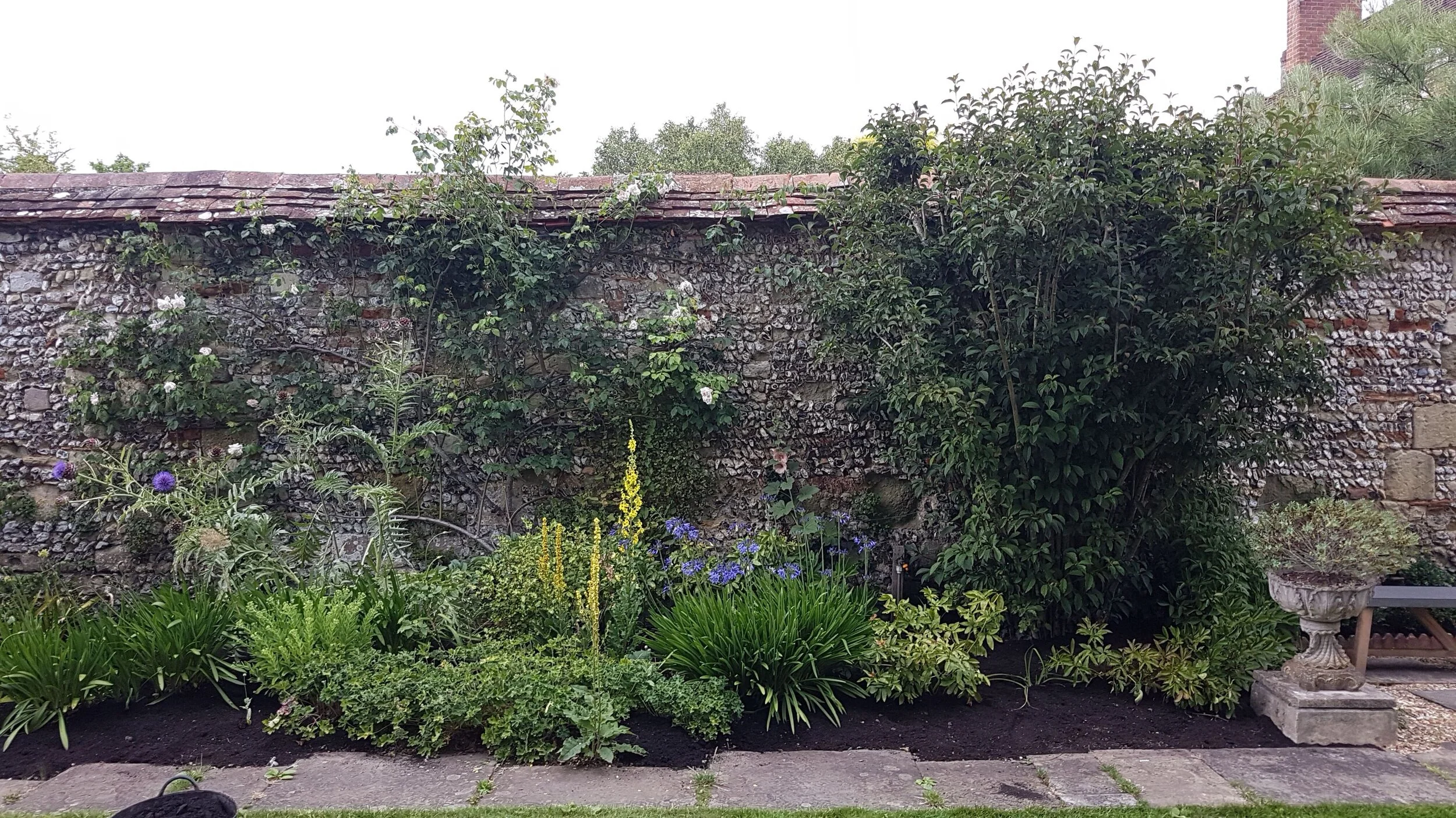 Planting flowers, Salisbury