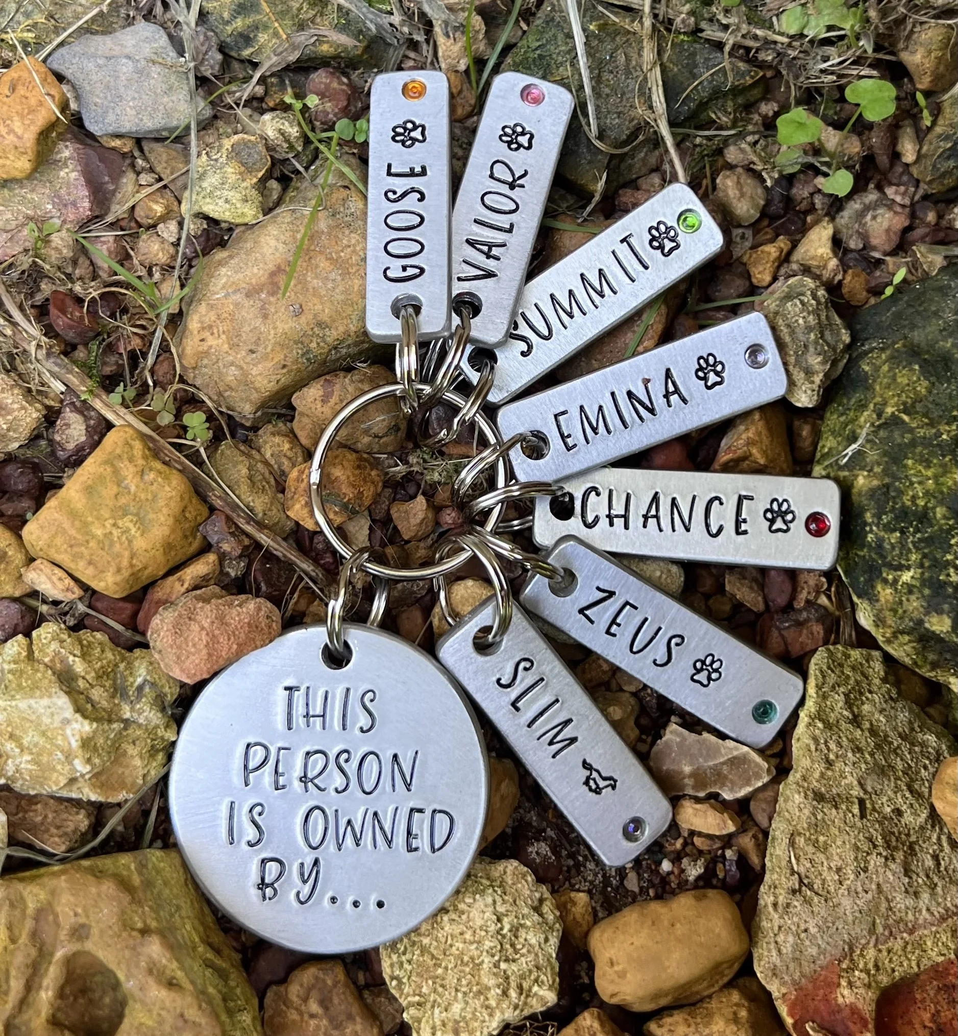 Shop — Dobie Kustomz Inc