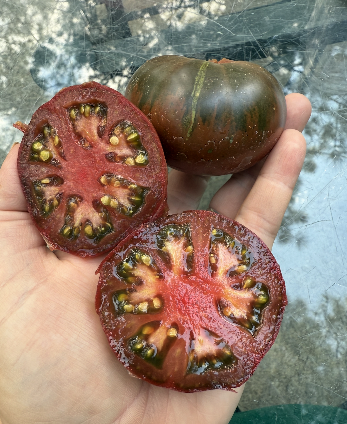 Gunmetal Gray (rare)