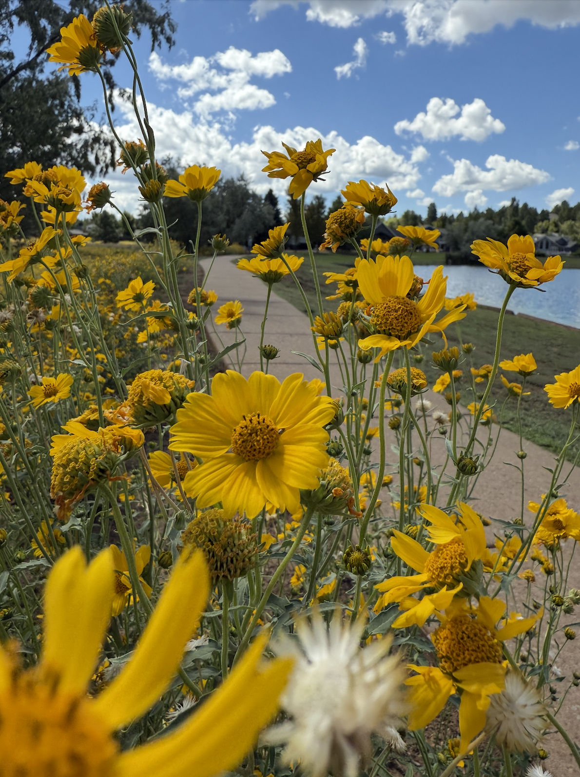 Screenshot 2025-12-04 at 11.23.48 PM.png