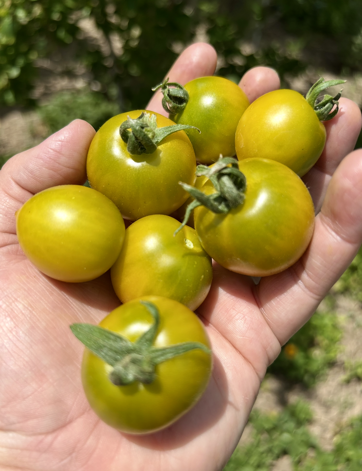 Screenshot 2025-11-18 at 8.44.24 PM.png