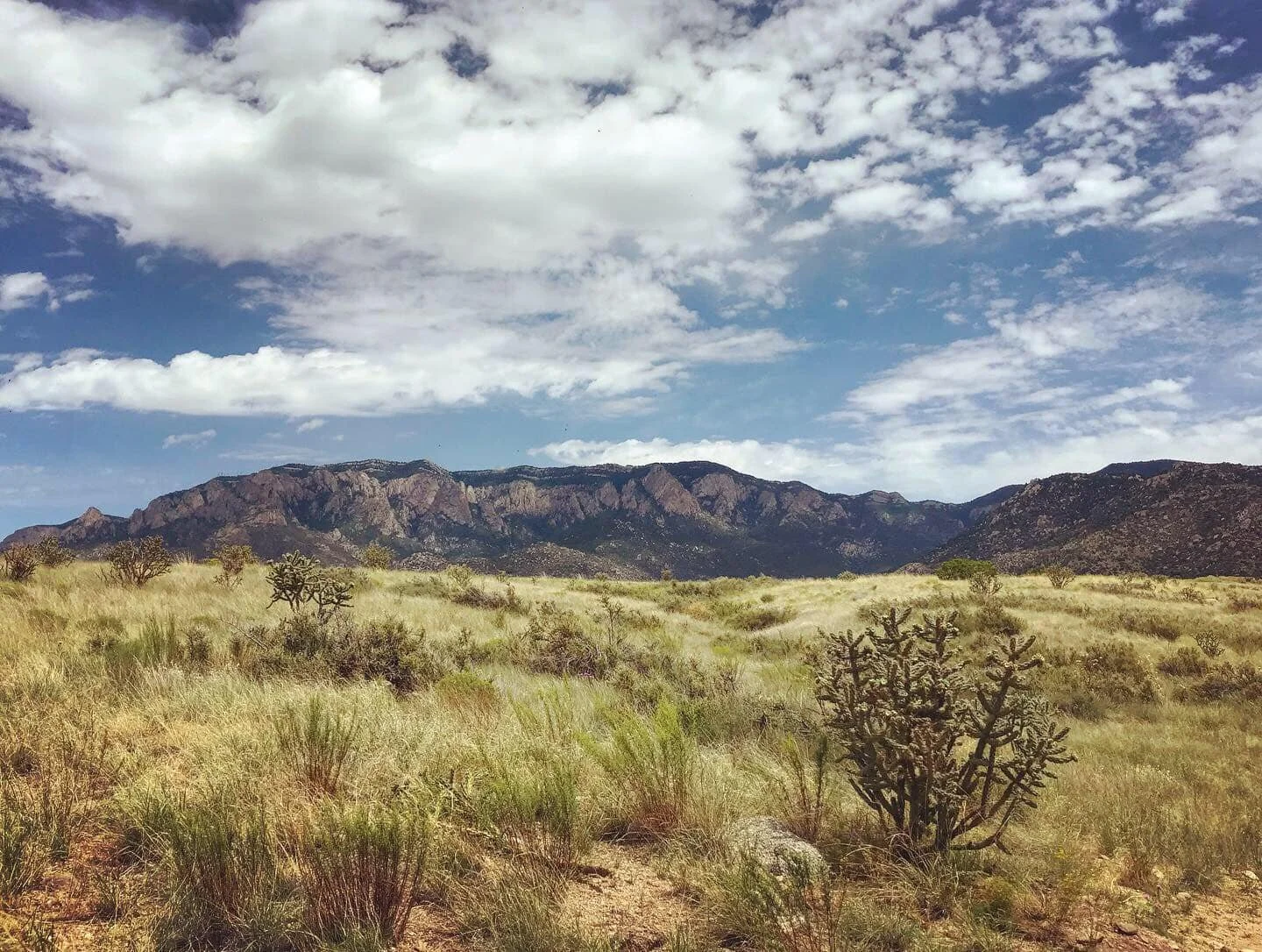 I’m a high desert woman, through and through. These are my home mountains in Albuquerque: The Sandias.