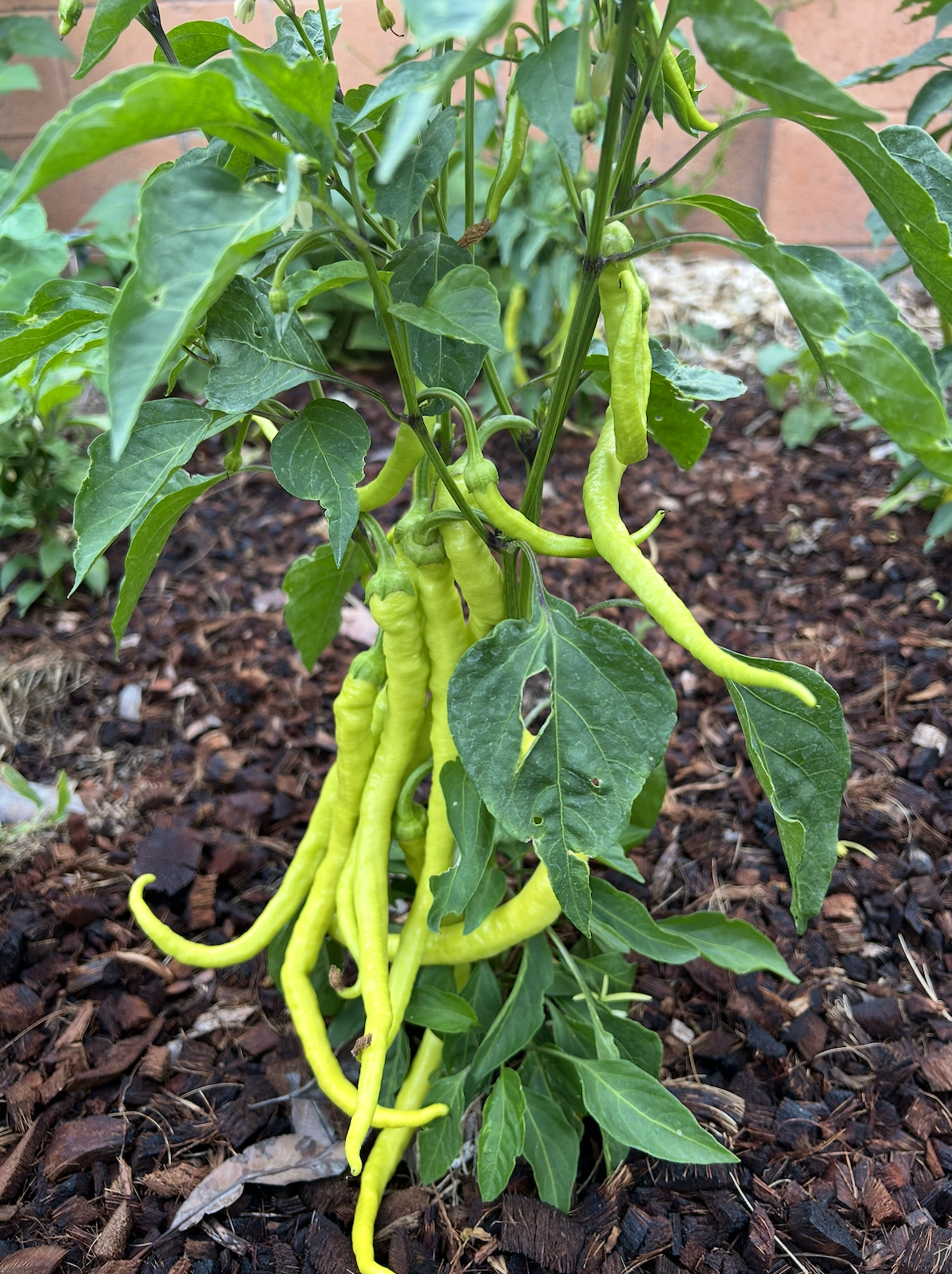 Screenshot 2025-11-30 at 11.30.35 PM.png