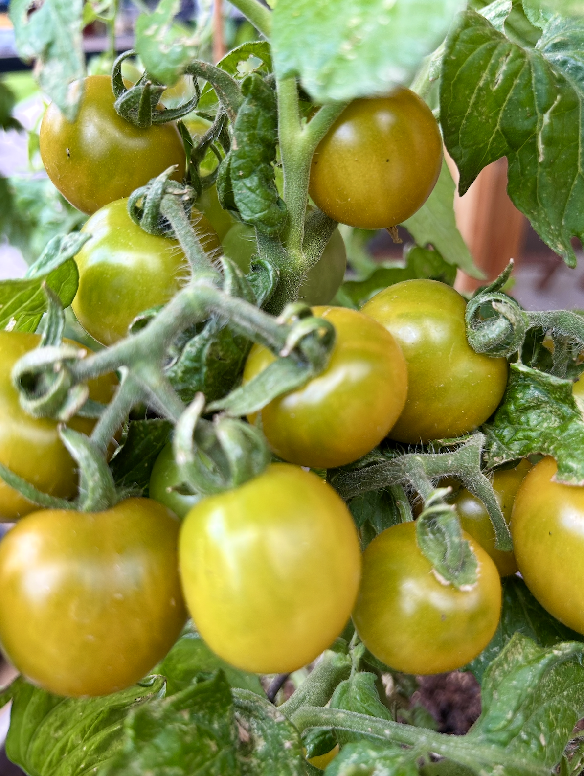 Screenshot 2025-11-18 at 8.44.37 PM.png