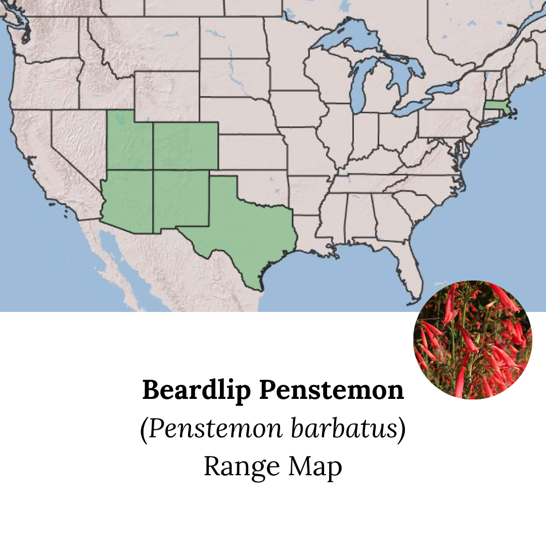 Native Flower Range Maps (1).png