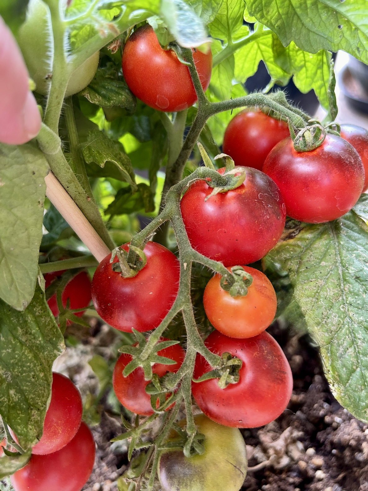 Screenshot 2025-11-18 at 8.55.21 PM.png