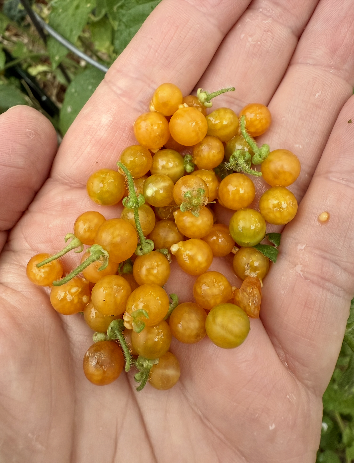 Screenshot 2025-12-05 at 12.12.07 AM.png