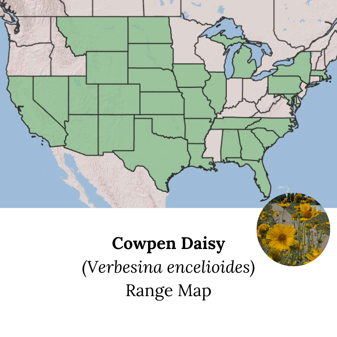 Native Flower Range Maps.png