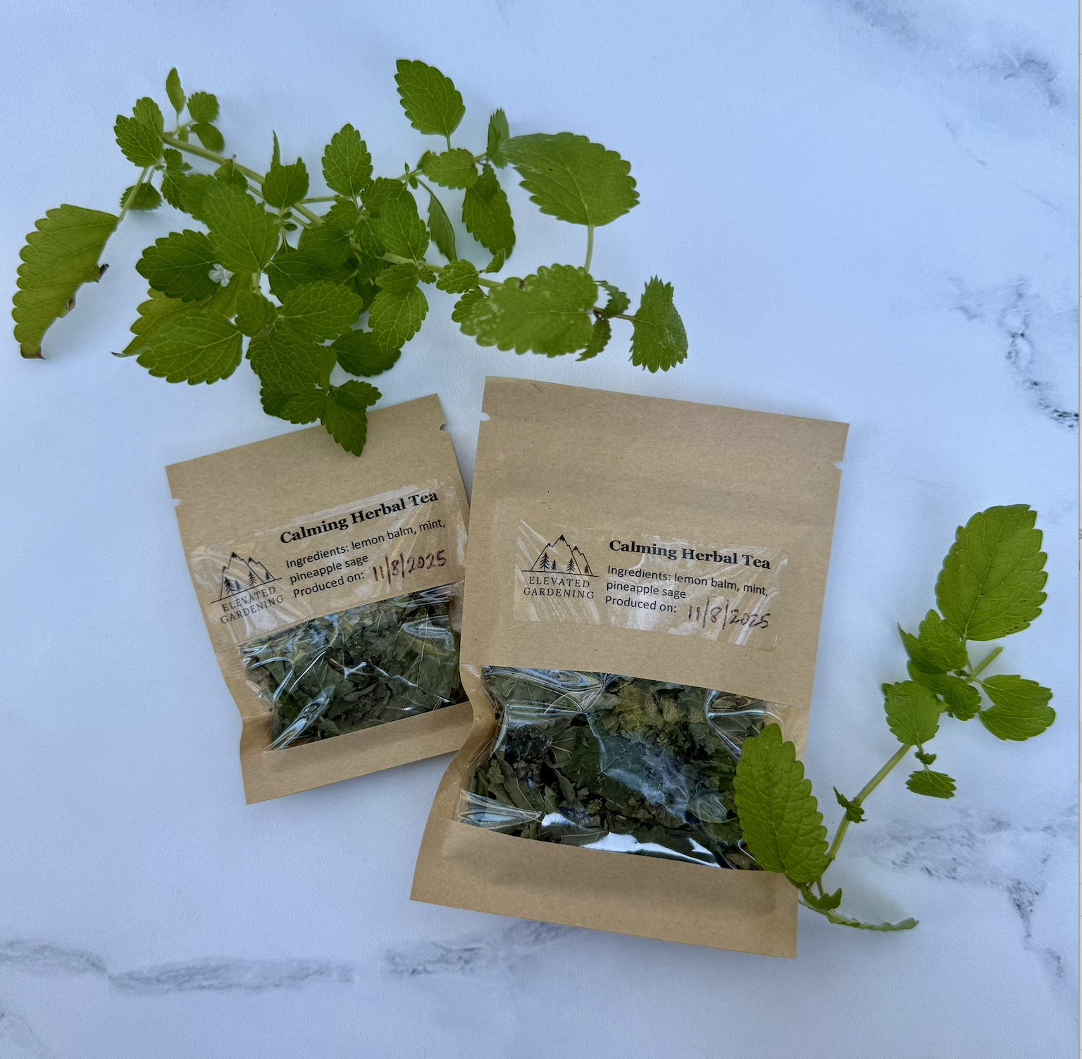 Screenshot 2025-11-11 at 1.15.35 PM.png