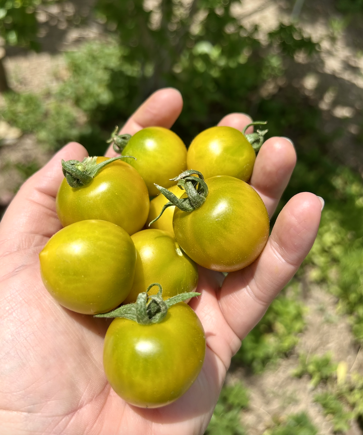 Screenshot 2025-11-18 at 8.44.10 PM.png