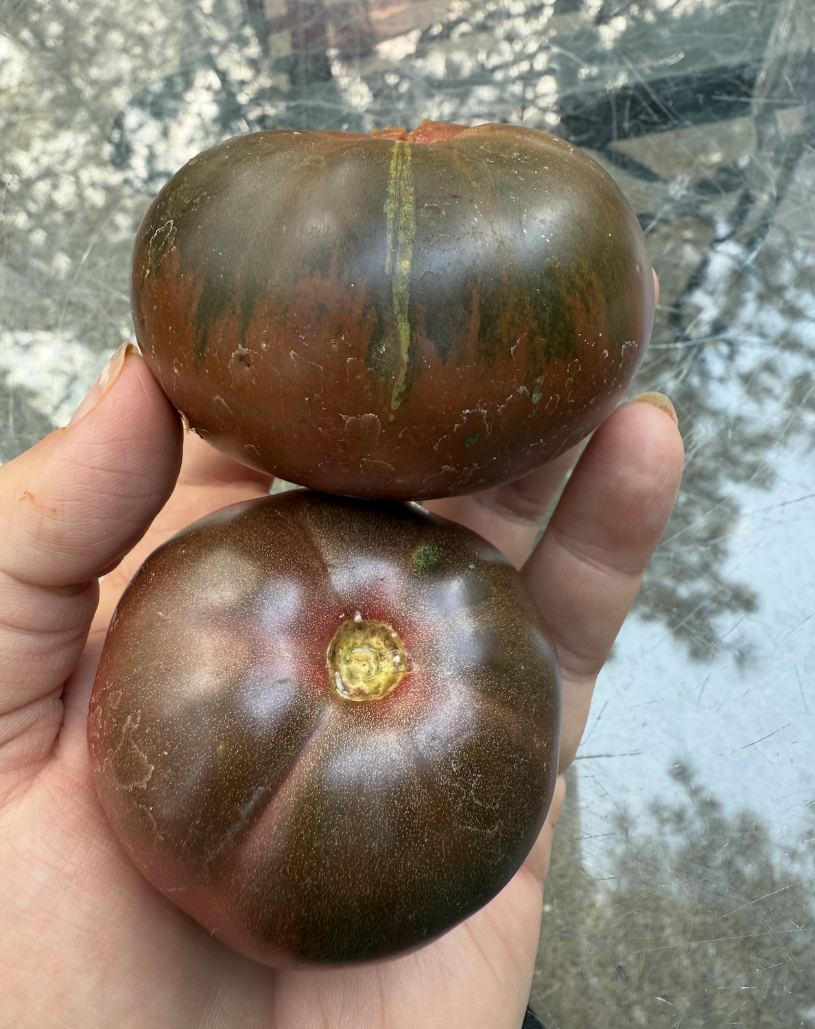 Screenshot 2026-01-09 at 11.54.48 AM.png