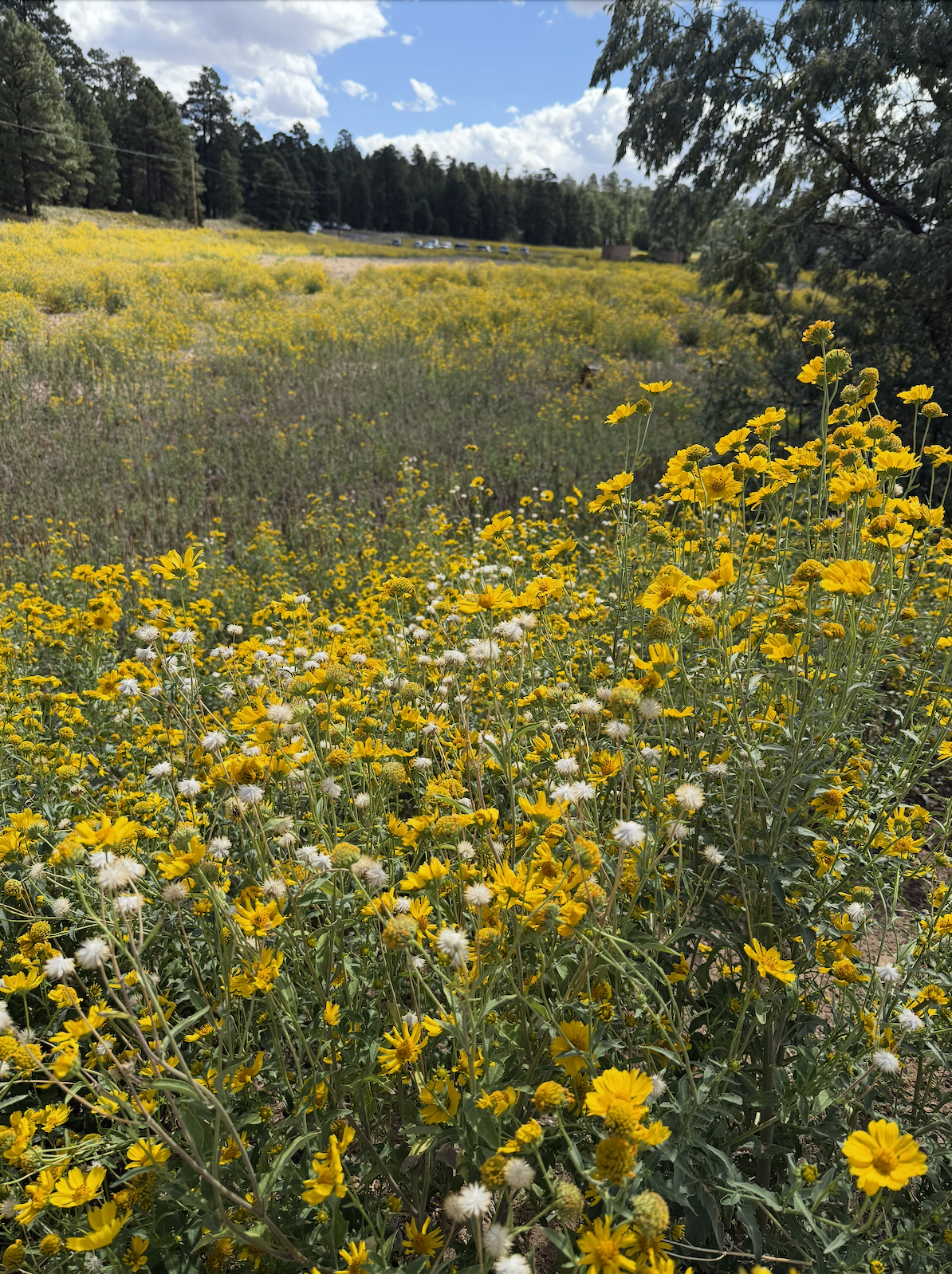 Screenshot 2025-12-04 at 11.24.13 PM.png