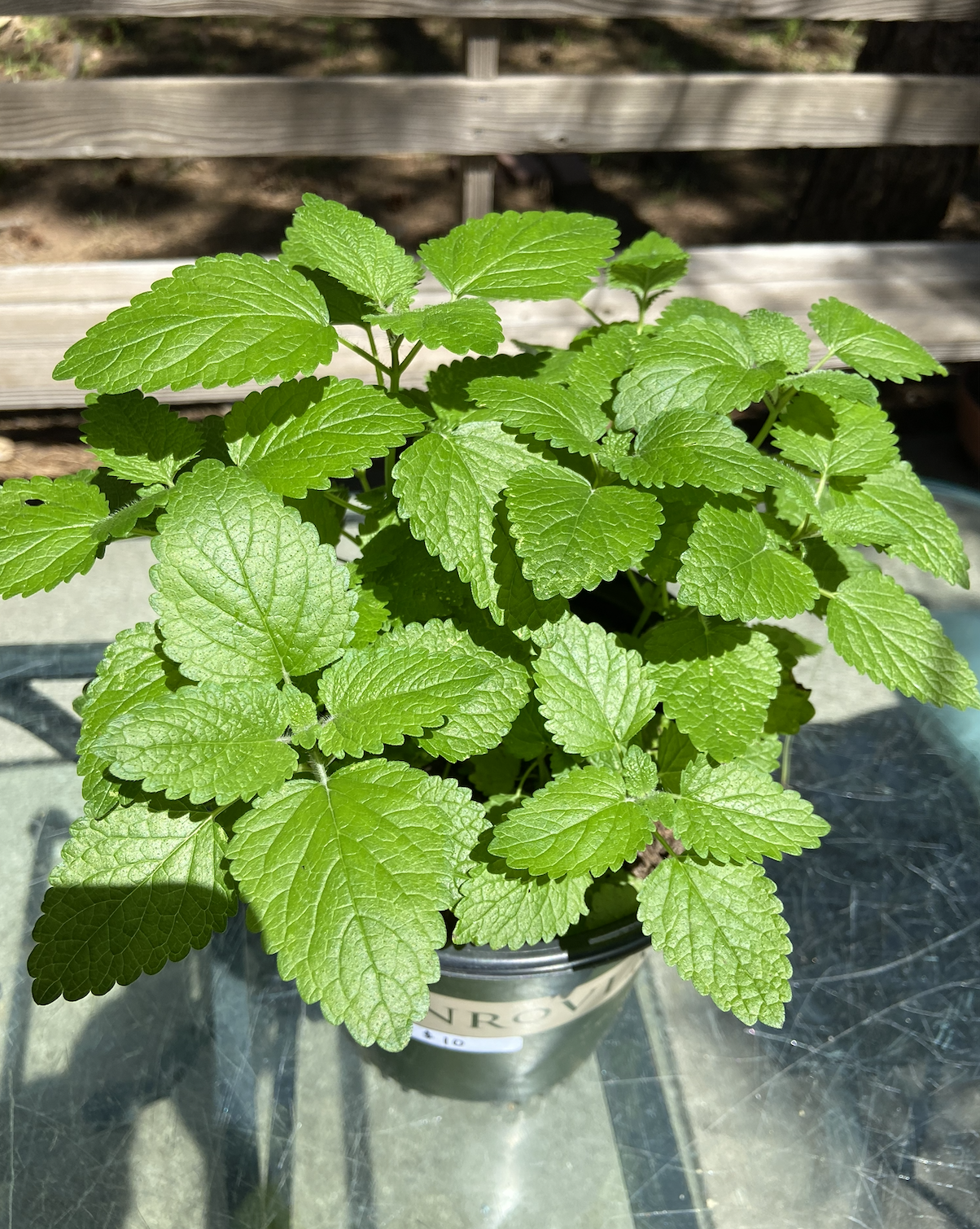 Screenshot 2026-01-09 at 11.11.30 AM.png