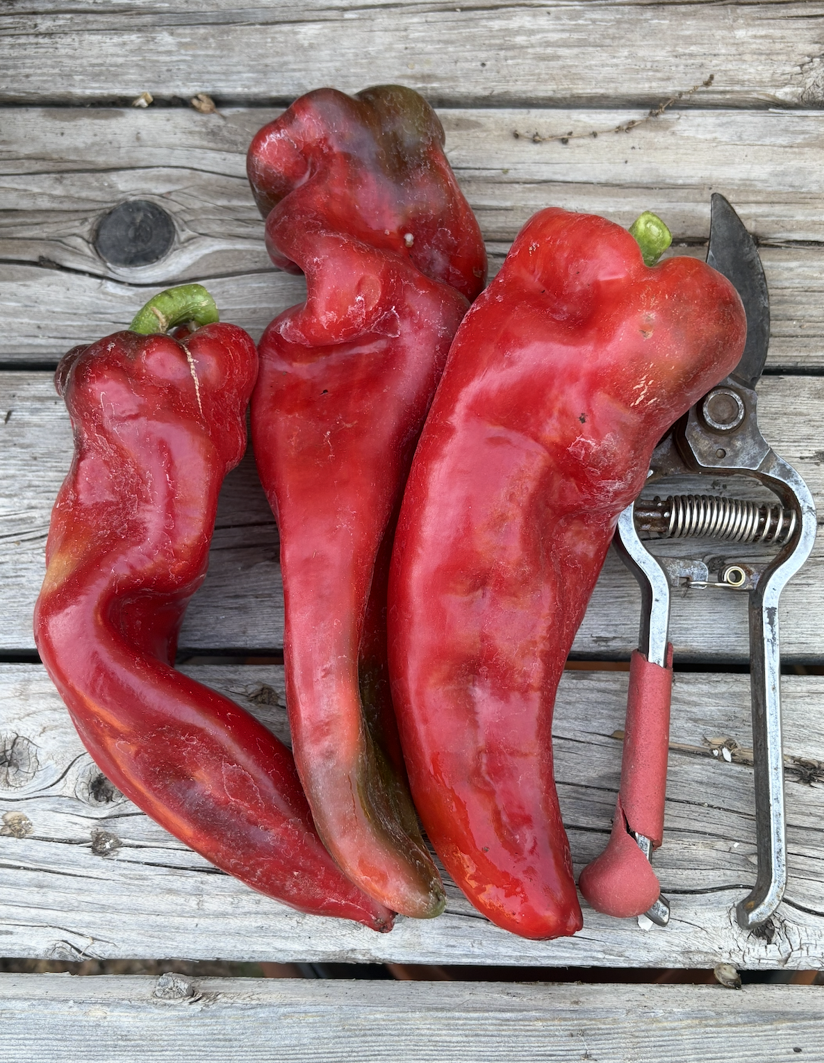 Screenshot 2025-11-20 at 11.40.51 PM.png