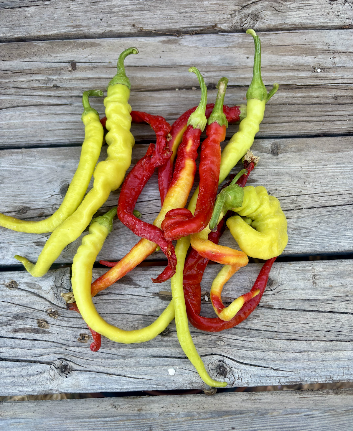 Screenshot 2025-11-30 at 11.30.09 PM.png