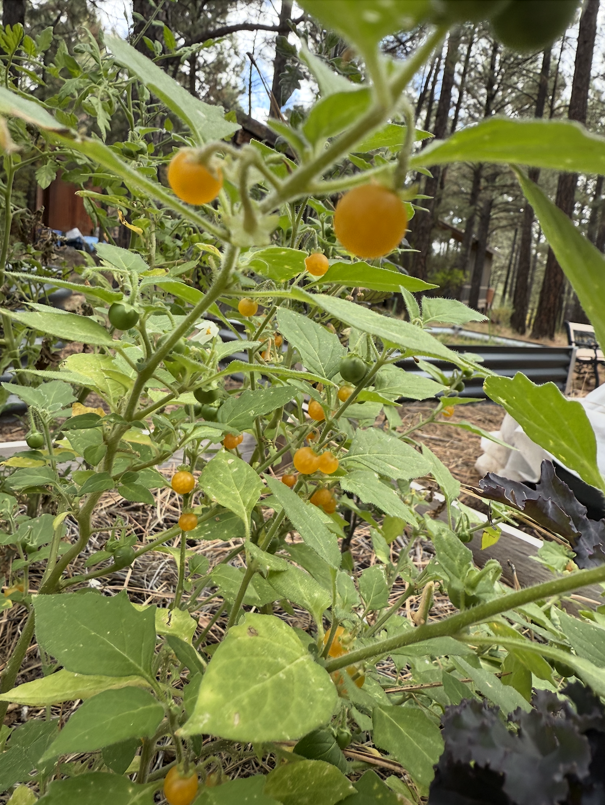 Screenshot 2025-12-05 at 12.12.30 AM.png