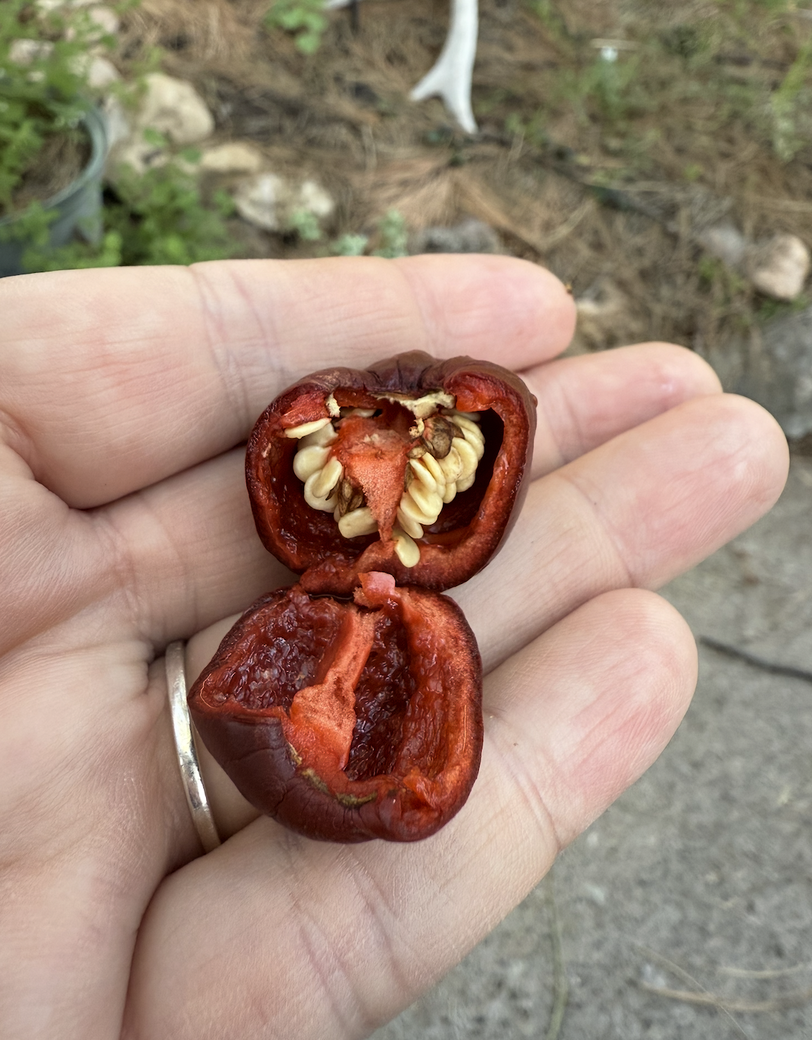 Screenshot 2025-11-30 at 11.39.20 PM.png