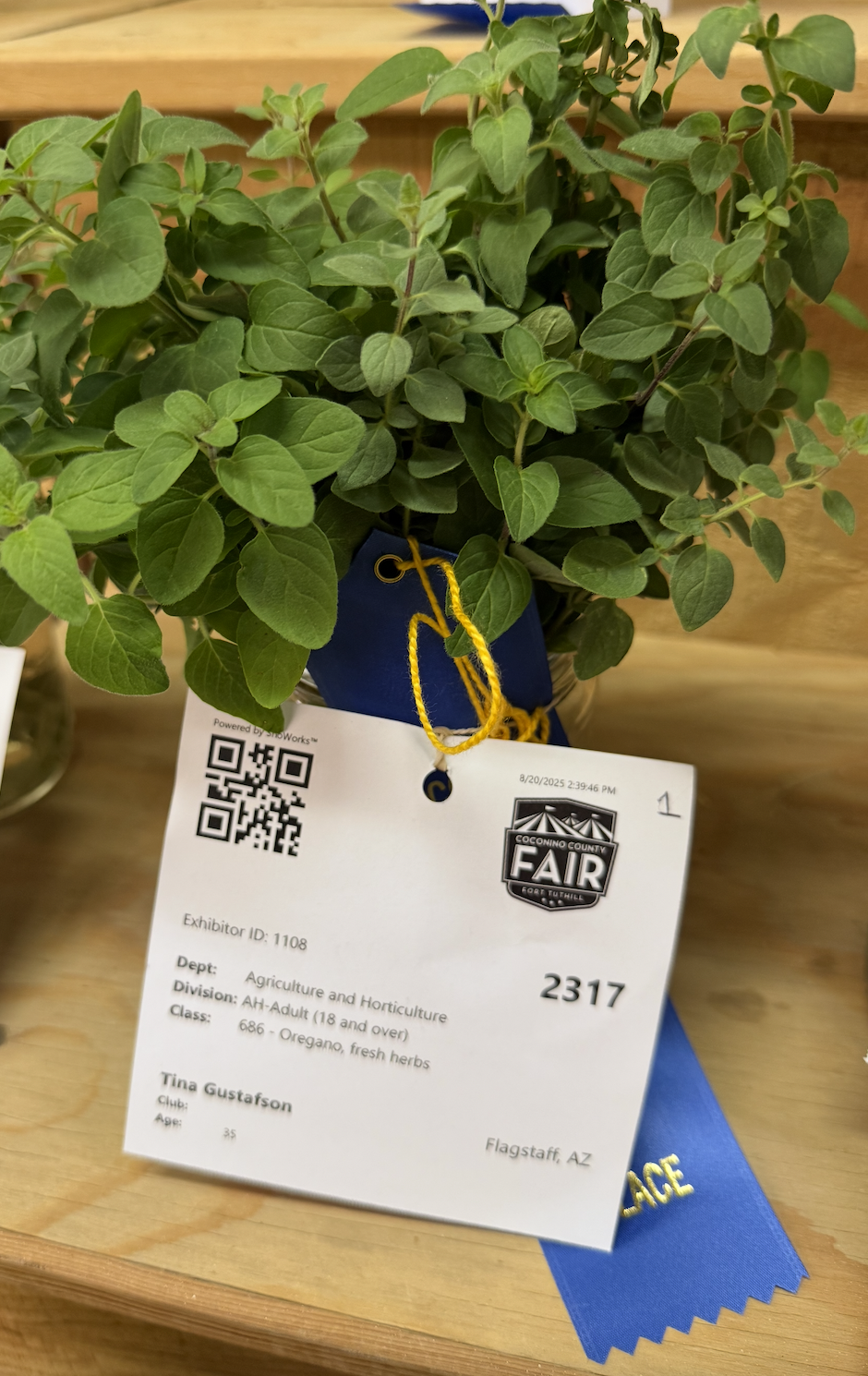 Screenshot 2025-12-15 at 11.18.01 PM.png