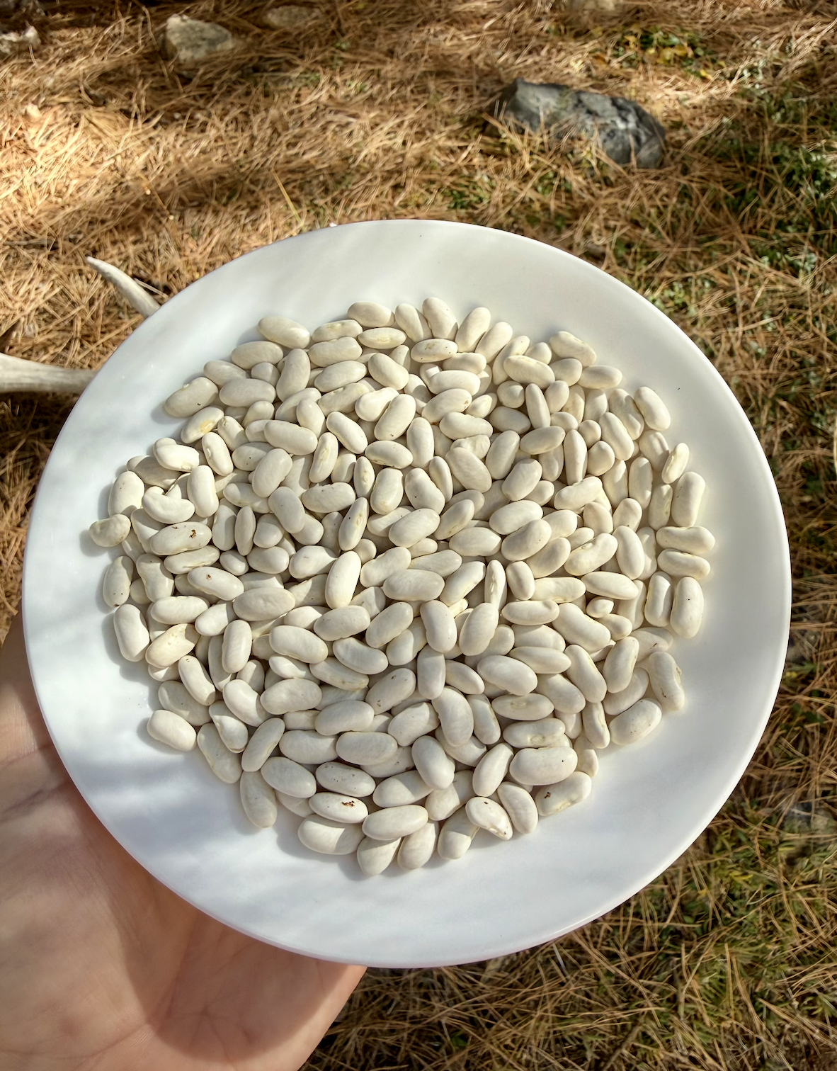 Screenshot 2025-12-15 at 11.02.34 PM.png