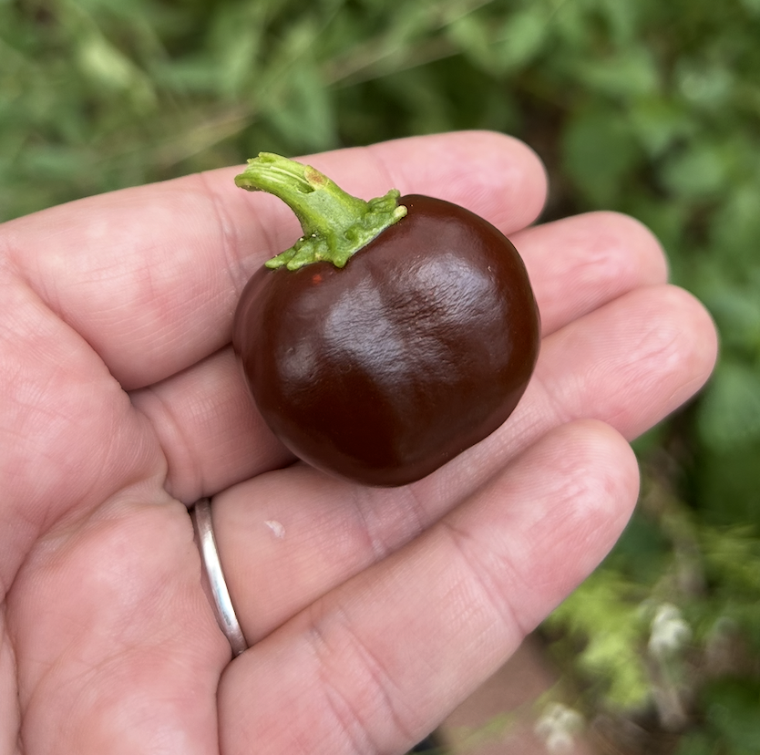 Screenshot 2025-11-30 at 11.39.09 PM.png