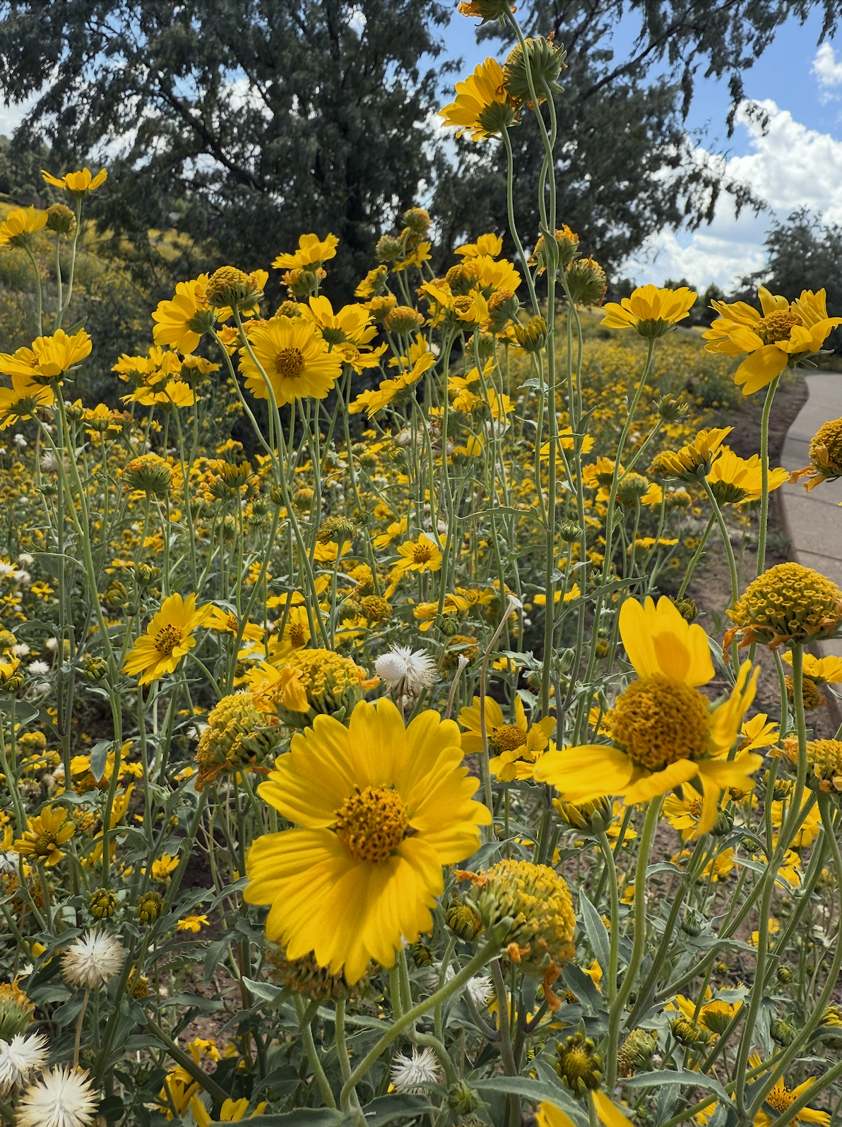 Screenshot 2025-12-04 at 11.23.59 PM.png