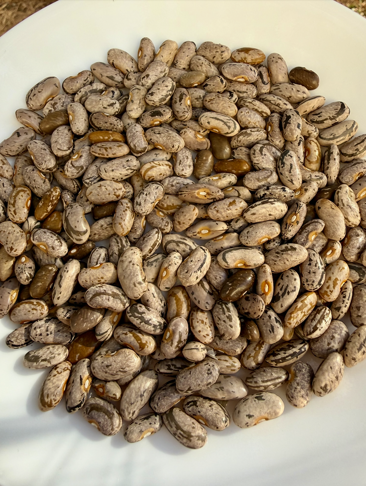 Screenshot 2025-12-15 at 10.35.25 PM.png