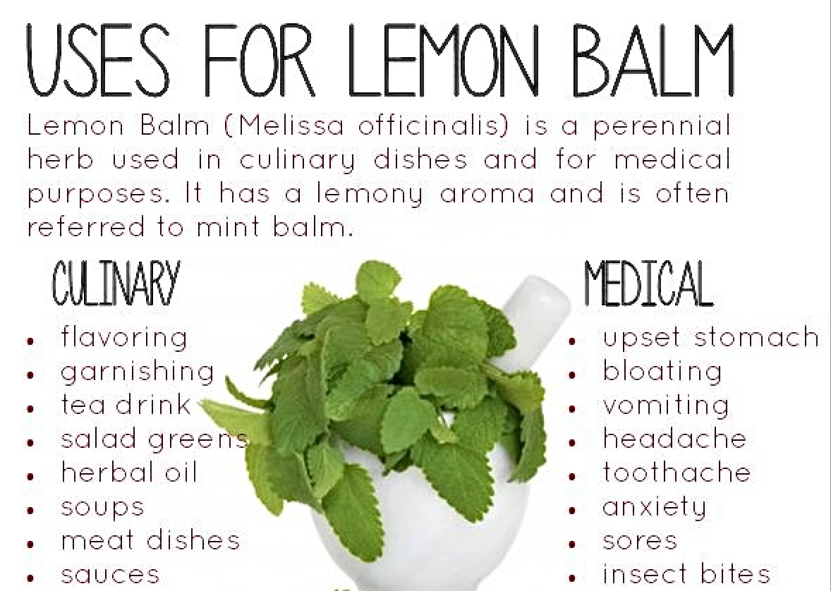 Screenshot 2026-01-09 at 11.11.18 AM.png