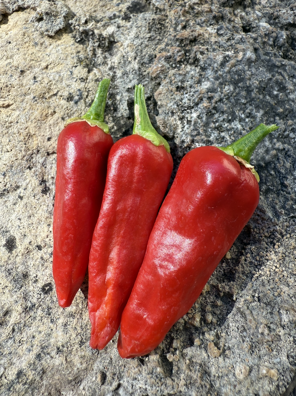 Screenshot 2025-11-20 at 11.29.58 PM.png