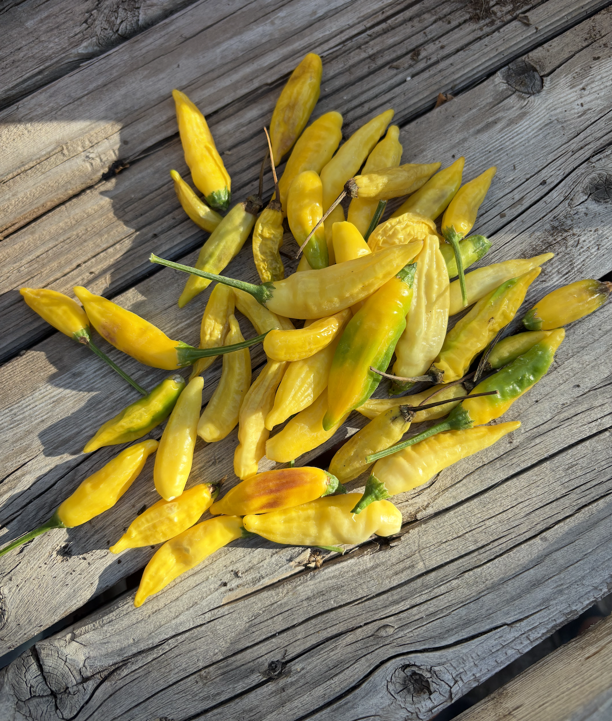 Screenshot 2025-11-20 at 11.20.22 PM.png