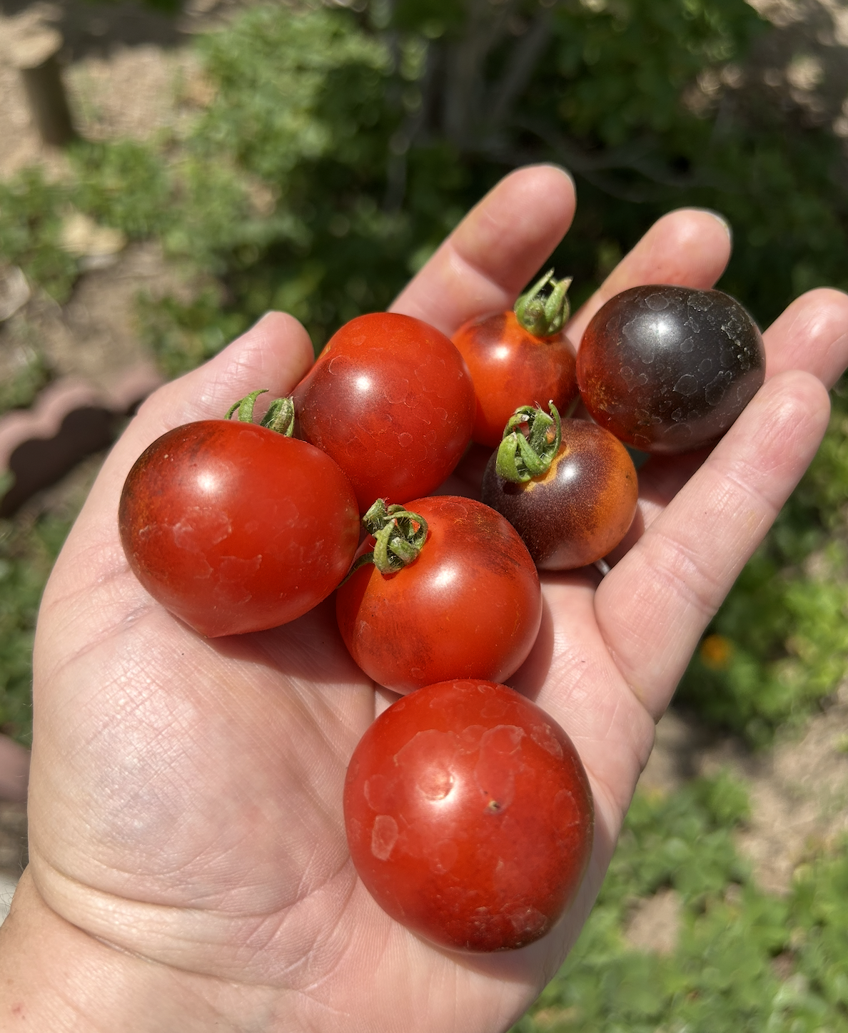 Screenshot 2025-11-18 at 8.54.50 PM.png