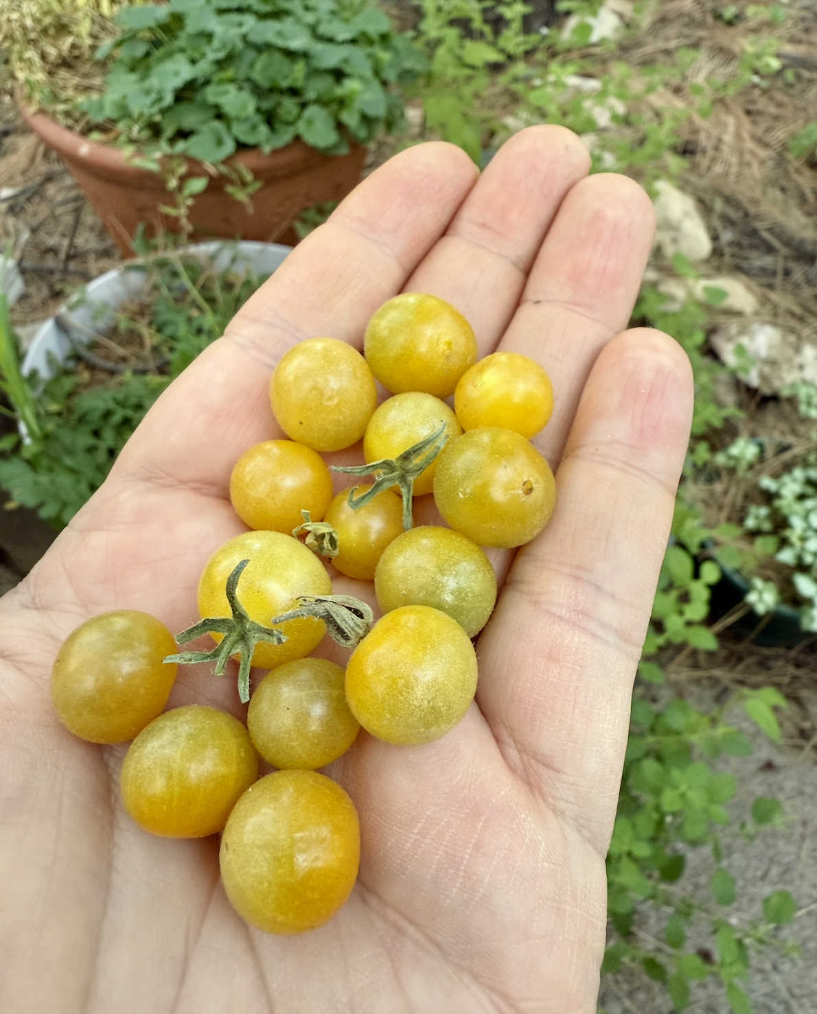 Screenshot 2025-11-18 at 9.10.52 PM.png