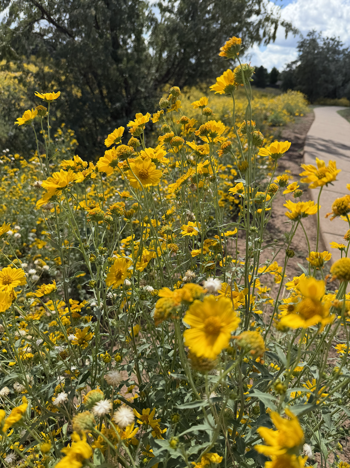 Screenshot 2025-12-04 at 11.24.39 PM.png