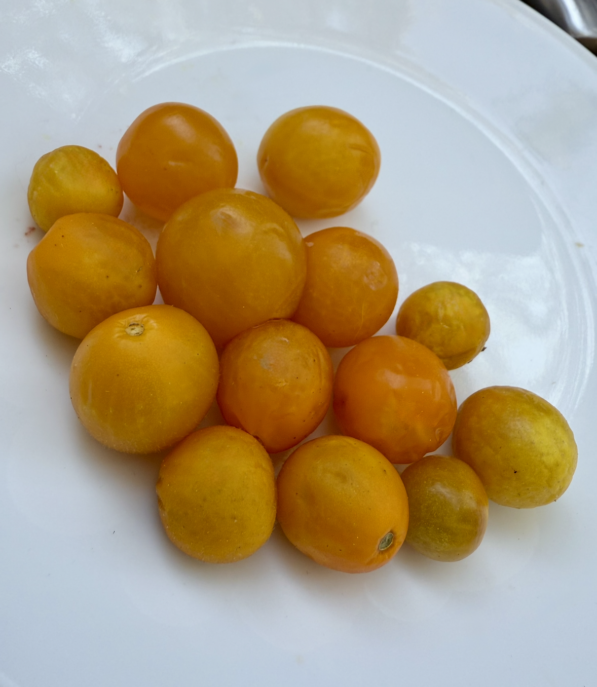 Screenshot 2025-11-20 at 12.42.49 AM.png