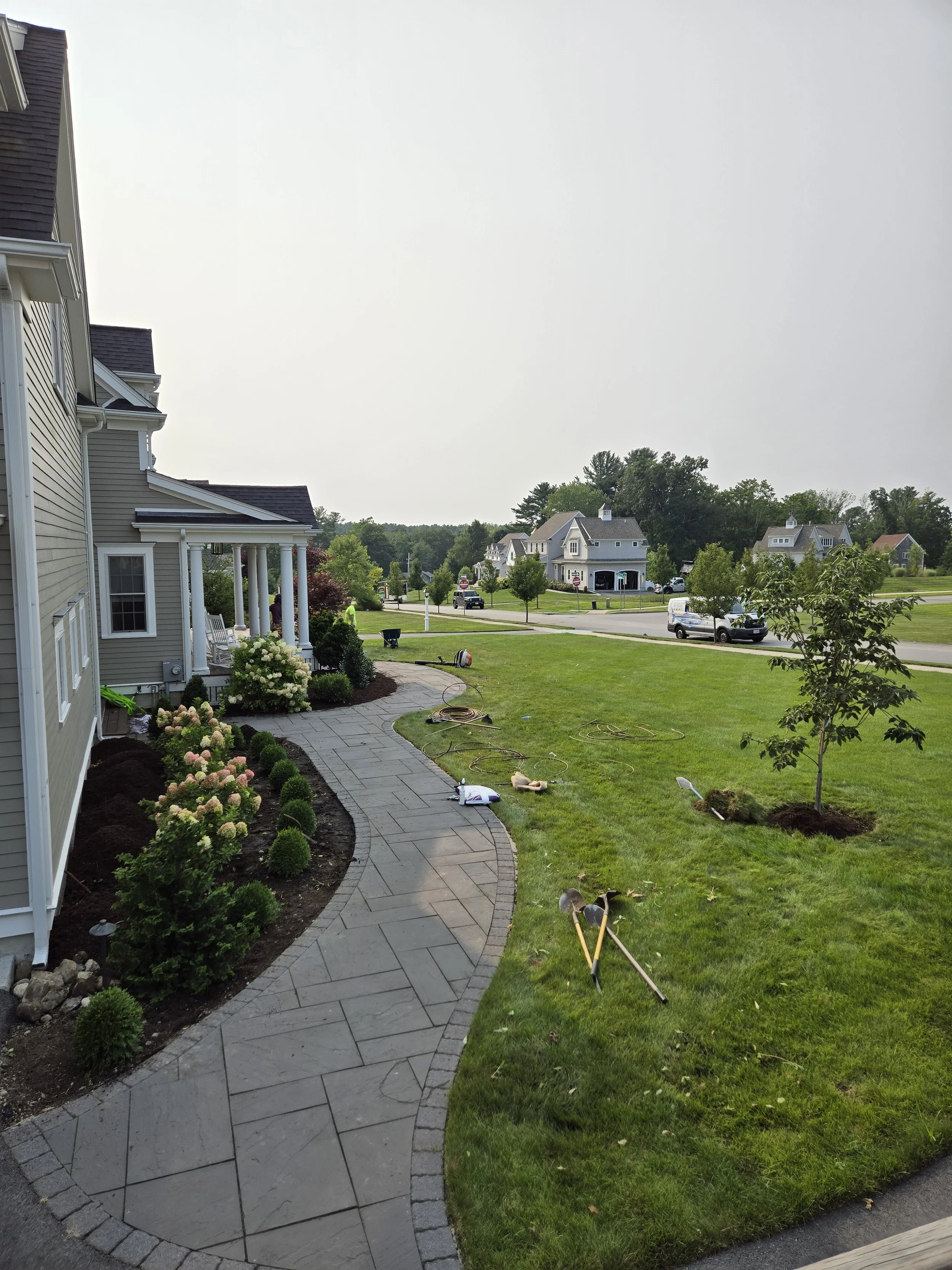 planting Marshfield.jpg