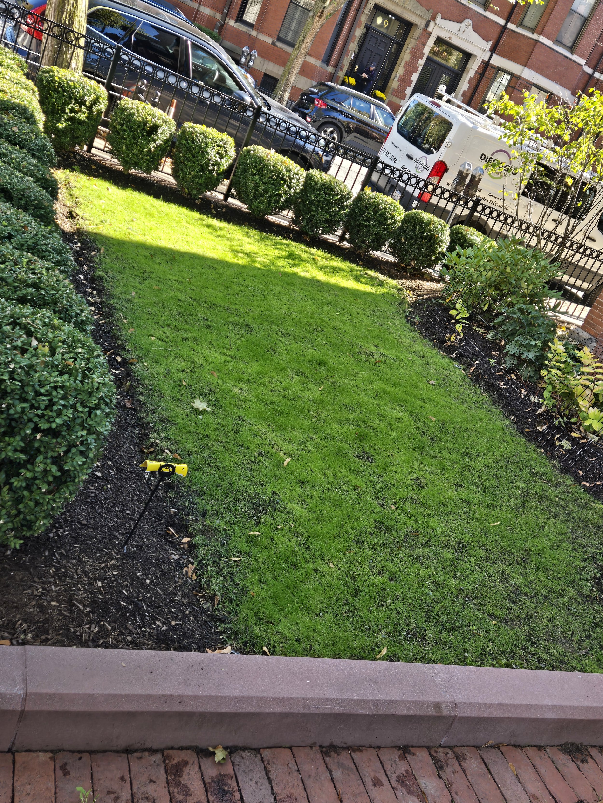 planting marlborough.jpg