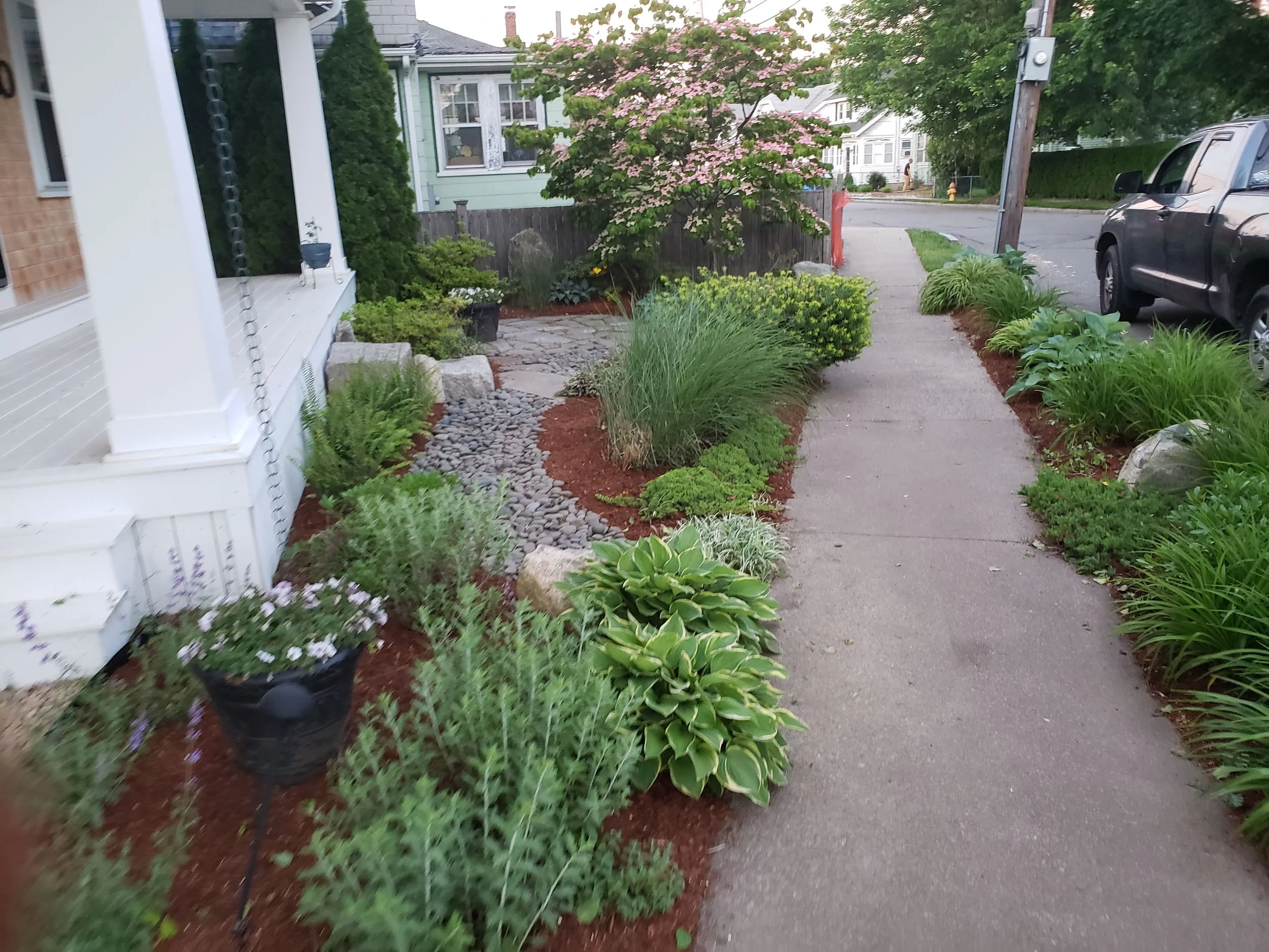 20190607_201647 (1).jpg