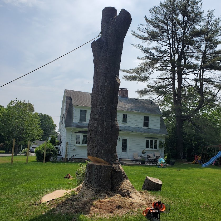 big pine drop.jpg