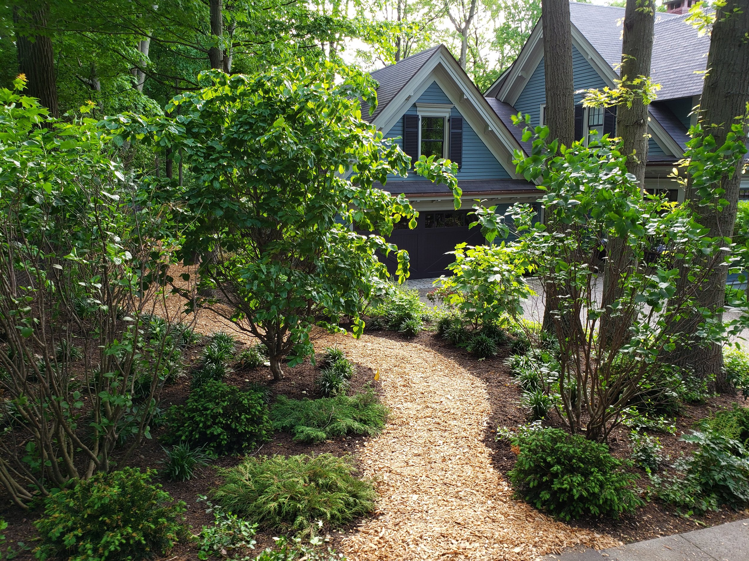 20190603_170729 (1).jpg